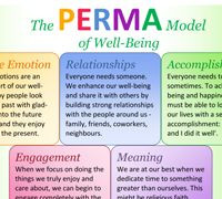 PERMA - positive emotion, engagement , good relationships, meaning (a ...