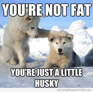 You’re Not Fat, You’re Just A Little Husky