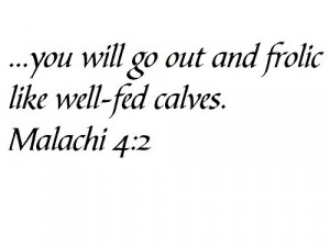 you will go out and frolic like well-fed calves. Malachi 4:2 - Wall ...