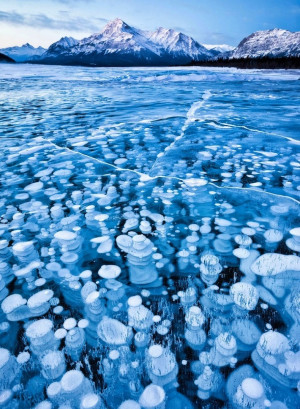 Frozen Lake Bubbles
