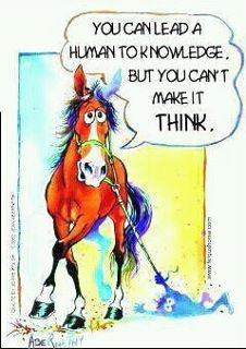 Horse Humor
