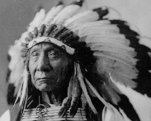 chief sitting bull chief american horse chief spotted eagle chiefs