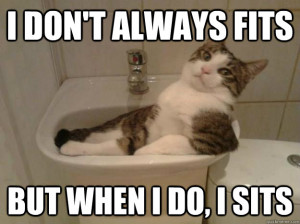 Most interesting cat in the world Funny Cat Picture
