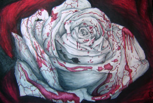 bloody white rose. the rose was made in white red black and grey chalk ...