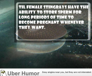 not sure what celebration this is for…