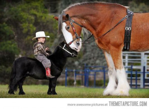 Download by size: IPHONE IPHONE 4 IPAD FULL