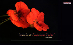 Quotes Wallpaper. Lovesove Wallpapers And Quotes. View Original ...