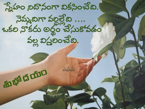 Good Morning Wishes in Telugu - Shubhodayam