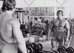 Arnold Schwarzenegger Bodybuilding Gallery 2