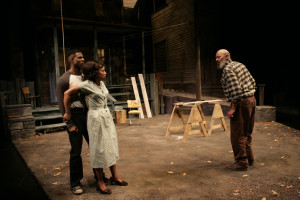 review summary fences is a the symbolism in this play includes fences ...