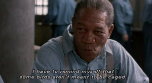 Shawshank RedemptionMovie'S Show Quotes, Fave Quotes, Dramas Film, Tv ...
