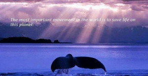 Pinned by Jacquelina Walker