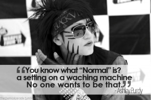 BVB - Ashley Purdy (everyone knows all the fun is on the spin cycle ...