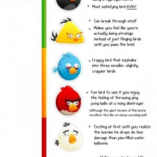 funny angry birds quotes