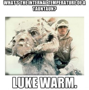 Thread: Science Proves Luke Skywalker Should Have Died In The Tauntaun ...