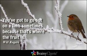 You've got to go out on a limb sometimes because that's where the ...