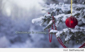Christmas is coming wallpaper - Funny Pictures, Funny Quotes, Funny ...