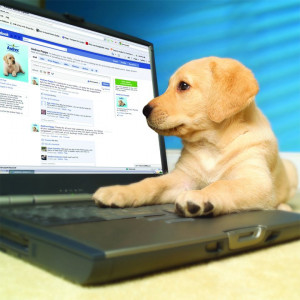 It seems the whole world and his dog have a Facebook page these days ...