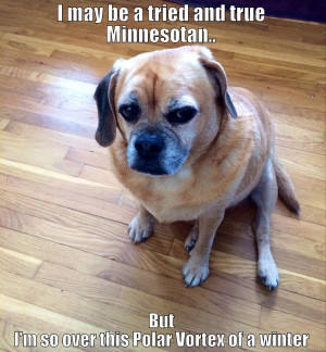 Puggle is over it - I MAY BE A TRIED AND TRUE MINNESOTAN.. BUT I'M SO ...