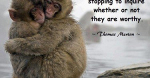 thomas merton quotes love quote sayings pictures cute monkeys cuddling