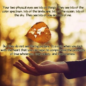 Your Two Physical Eyes See Bits Of Things