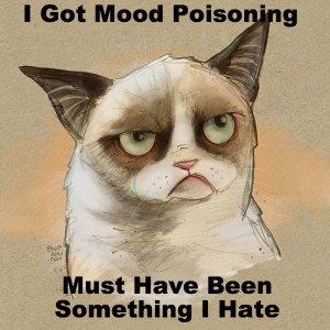 Grumpy cat quotes, funny grumpy cat quotes, grumpy kitty ...For more ...