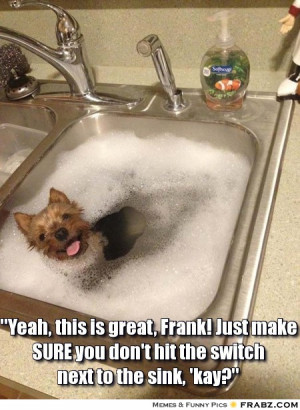 ... 30 Greatest Moments in the History of Bathtime (Funny Animal Content