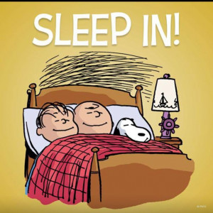 ... Brown & Snoopy & Linus. What I want to do today! Ok, every day