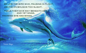 Quotes About Dolphins