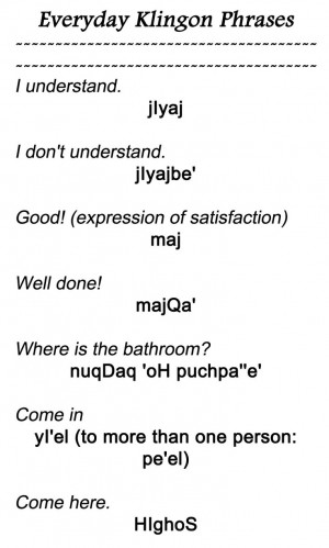 Everyday Klingon Phrases 2 from http://www.kli.org/tlh/phrases.html