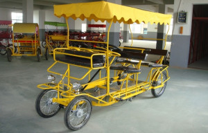 person 4 wheeled pedal bike for sale