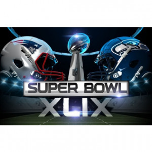 Home 2 VIP Lower Level Tickets to Super Bowl XLIX on Feb 1, 2015