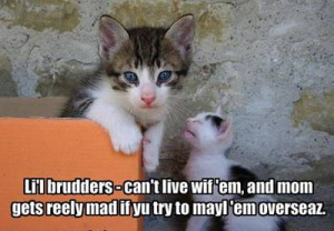 funniest brother sisters quotes, funny brother sisters quotes