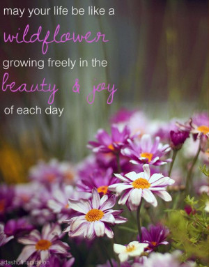 wildflower #quote #life #pretty