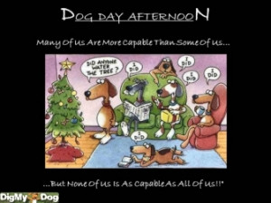 dog-day-afternoon-teamwork-capable-christmas-dogs-team-dogs-1355988536 ...