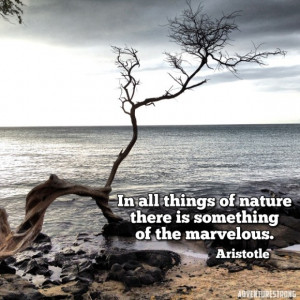 Hiking Quotes: Wisdom for the Trail