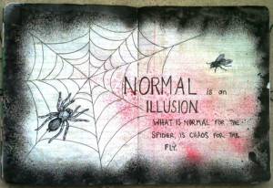 Normal is an illusion, what is normal for the spider is chaos for the ...