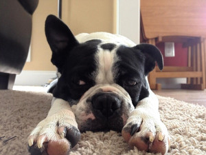 Tank is Super Chill and Laid Back