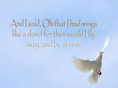 Bible verses - Photos & Images