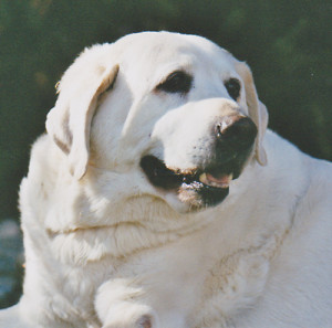 Funny Quotes Contact Dmca...