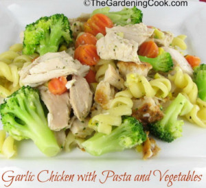 Garlic Chicken with Pasta and Vegetables