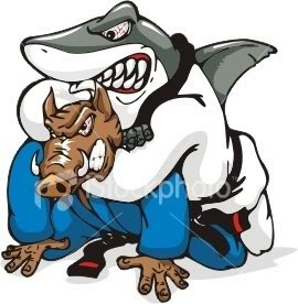 Jiu-jitsu Shark Picture