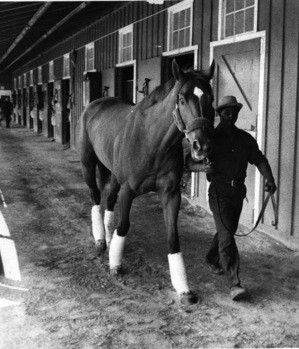 Andrew O'Hehir's review on Salon.com . ] [ Both Andrew O'Hehir and ...