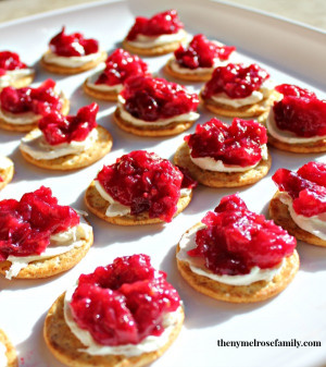 Cranberry Dinner Party Appetizer & Last Minute Shopping Spree Giveaway ...