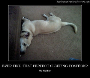 ever-find-that-perfect-sleeping-position-dog-flexible-best ...