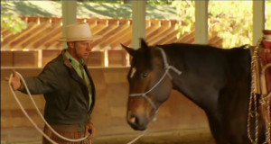 Buck Brannaman and Horse