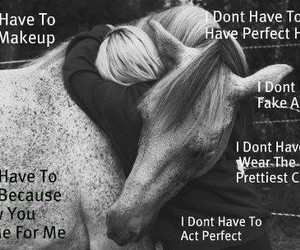 in collection: horse quotes