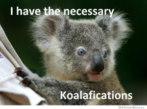 have the necessary Koalafications