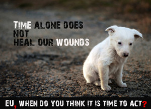 The day for compassion, care, and action for stray animals worldwide