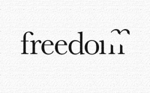 bird, freedom, quote, text